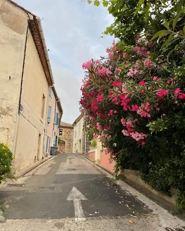 T2 Le Flamand Rose Apartamento Portiragnes